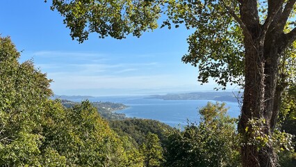 Blick auf den Bodensee