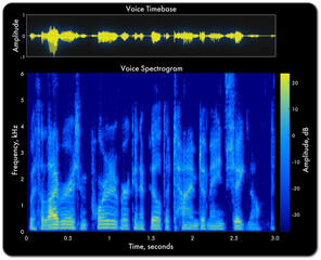Audio spectrogram plot showing a timebase waveform and short time Fourier transform (STFT)
