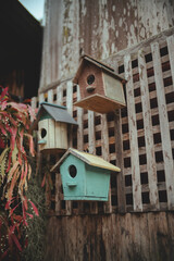 wooden bird house