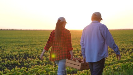 man woman working farm carry potatoes carrots box, agriculture, farm sunset, farmers engineers...