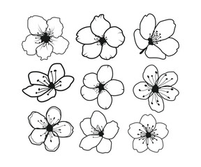 Cherry blossom, Sakura flowers  Design, Cherry flowers clipart, Spring flowers for Cricut, Blooming tree,