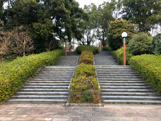 曇り空の冬の階段のある公園
