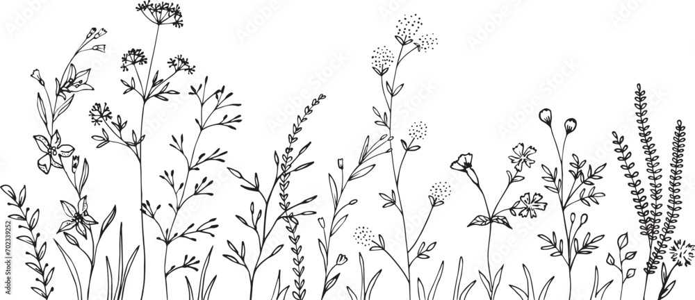 Wall mural wildflowers and grasses with various insects. fashion sketch for various design ideas. monochrom pri - Wall murals