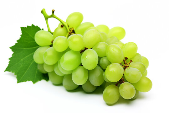 bunch of grapes with green berries, isolated on white background, leaves