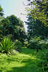 Sumérgete en la magia visual con nuestra fotografía única. Detalles vibrantes y composición excepcional. Eleva tu espacio con arte atemporal © Ferran