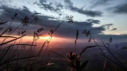 Fototapeta premium Couché de soleil chartreuse