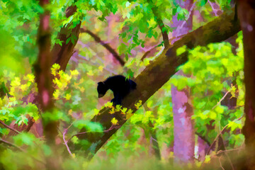Black bear cub in forest   paintography © dfriend150