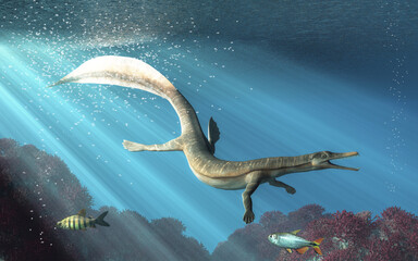 Mesosaurus is an extinct carnivorous  reptile that lived during the Early Permian period. It was one of the earliest known aquatic reptiles. 3D Rendering