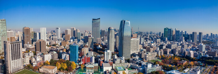 Aerial View of Sunny Tokyo Cityscape: Modern Urban Japan