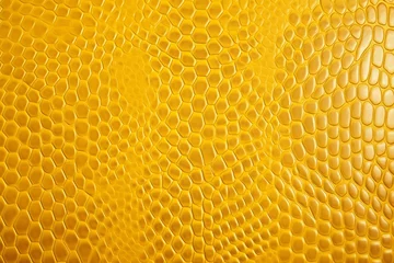 Gordijnen snakeskin yellow leather texture of texture, empty background for design © -=RRZMRR=-