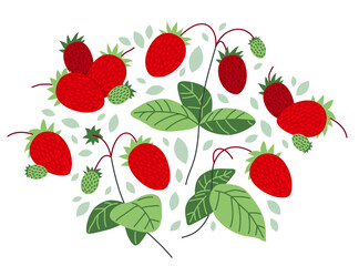 Fresh delicious ripe wild strawberries vector flat illustration isolated on white, natural diet food vegetation tasty eating, forest wild berries series.