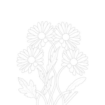 hand drawn daisy flower line art illustration vector