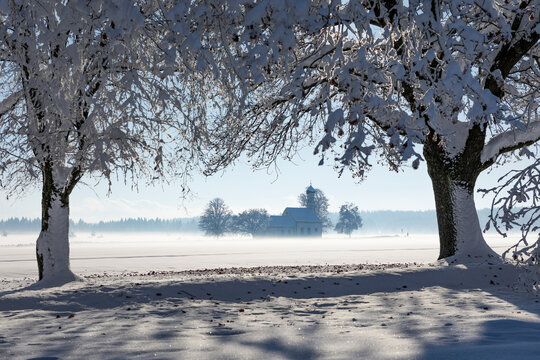 Bavarian church of Raisting with trees and snow and mist during winter, snow field in the foreground, blue sky day, Bavaria Germany.