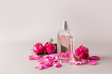 Obraz na płótnie Canvas Stylish bottle of women's perfume on a gray background among the buds and petals of a pink tea rose. A copy space. Perfume and beauty concept.