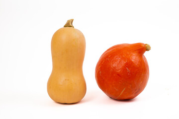 An isolated image of a bright orange squash and a butternut on a white background in a studio