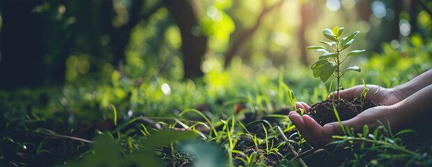 Environment Earth Day, female hands with tree seedlings, image with space for text. Created with Generative Ai technology.