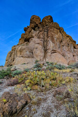 Fototapeta na wymiar Desert landscape with cacti, Mountain erosion formations of red mountain sandstones, Arizona