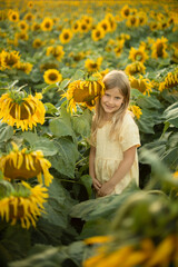 Blonde girl in a field of sunflowers. Summer sunset in the field
