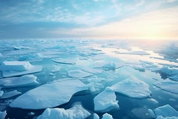 Fotobehang Melting glaciers in antarctica and arctic © Tarun