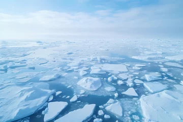 Fotobehang Melting glaciers in antarctica and arctic © Tarun