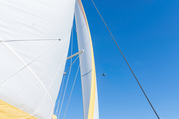 Voile d'un voilier avec un ciel bleu.