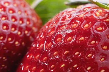 ripe very sweet strawberry berry close-up