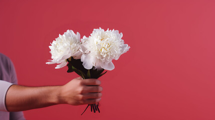 Closeup man hand holding bouquet of peonies on isolated background with space for copy 
