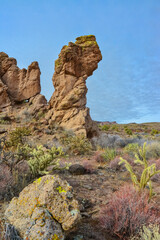 Mountain erosion formations of red mountain sandstones, Desert landscape with cacti, Arizona