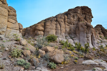 Fototapeta na wymiar Agava, Yucca and Cacti in a Red Cliffs Mountain Landscape in California