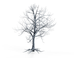 Isolated tree without leaf on white background with clipping, 3D illustration rendering