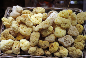 sea sponges prepared for use in the shower