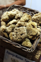 natural sea sponges