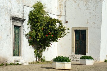Fototapeta na wymiar Rincón con encanto en Tavira, Algarve, Portugal