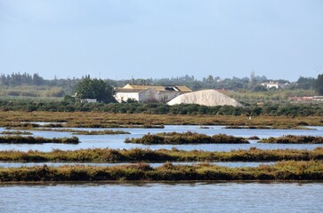 Salinas de Tavira, Algarve, Portugal
