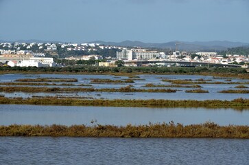Salinas de Tavira, Algarve, Portugal
