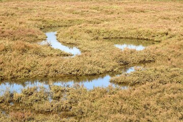 Marismas en Tavira, Algarve, Portugal