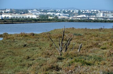 Salinas de Tavira, Algarve, Portugal