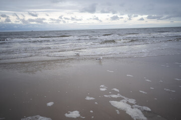 Fototapeta na wymiar beach in winter