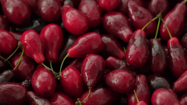 Ripe red cornel background. Dogwood berry close-up. Fresh cornelian cherry berries. Cornelian berry - useful organic dogwood, food, vitamin berry, healthy fruit. Rotating, slow motion, top view, flat 