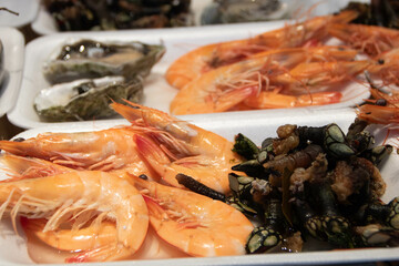 percebes and shrimp in the market of Porto