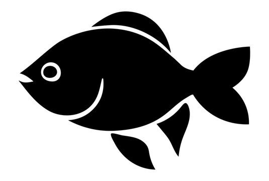 Ryba 