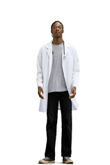 The male doctor, on a white background, in full height