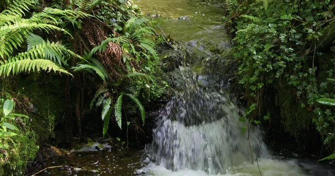 A peaceful waterfall in a forest with no human presence. Slow motion.