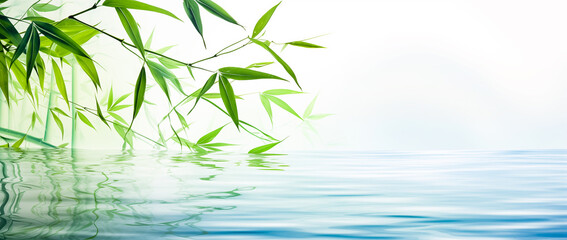 Obraz premium Green bamboo leaves hanging over a calm body of water with small ripples. Tranquil and ethereal mood. Nature background.