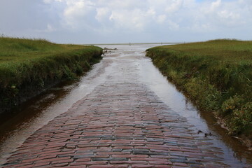 path to the sea in nord Germany