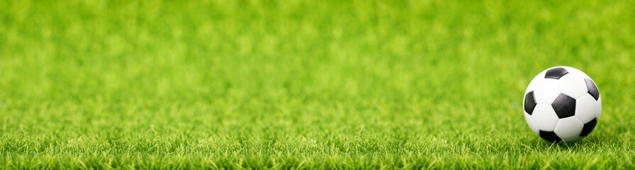 Soccer ball on green grass field with copy space. Long banner