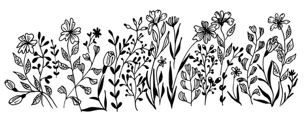 Horizontal  banner or floral backdrop decorated with gorgeous  blooming flowers and leaves border. Summer botanical doodle vector illustration on white background
