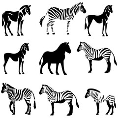 Hand drawn sketch of zebra illustration - obrazy, fototapety, plakaty