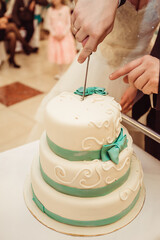 Couple Hands Cutting Wedding Cake