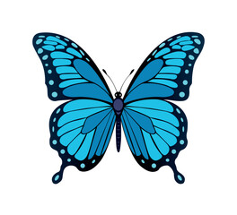 flat monarch butterfly illustration